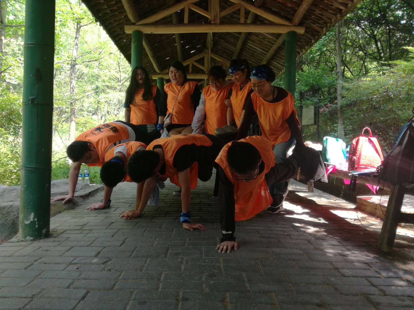 15256746098329869xNO.jpg 15256746098329869xNO.jpg